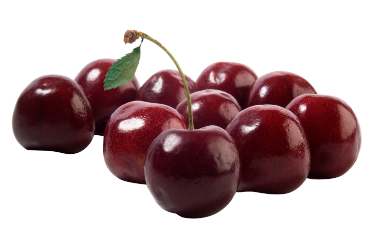 MORELLER