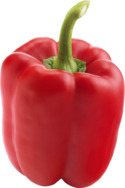 PAPRIKA RØD