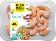 SCAMPI